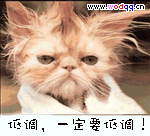 89789.gif