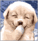 760315CX_3_11.gif